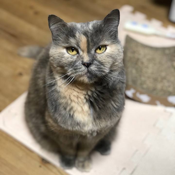 A9e0df3d baa7 40f6 b10b 3a0587d71966 1666614736085