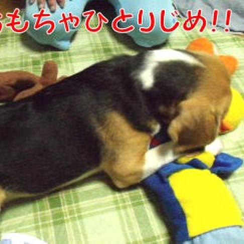 A9e0e4b1 7b72 44c2 abc4 f373bfc6f6fe 1693440385300