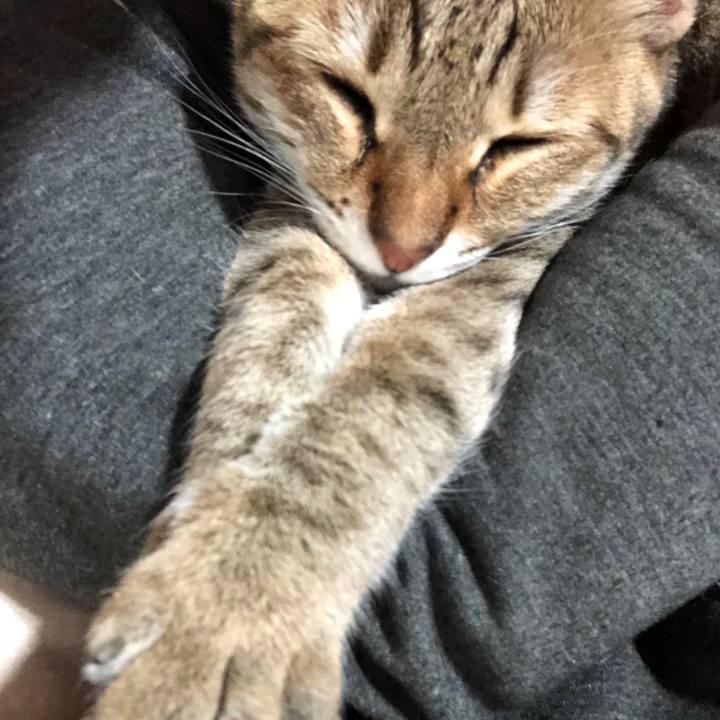 A9e145b7 c7e8 4dea 9bd9 8197e97bd60f 1652577939815