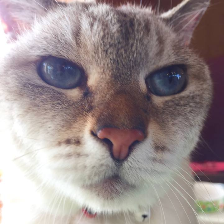 A9e19d70 3d5a 4c45 8015 180b814cf750 1571458746867