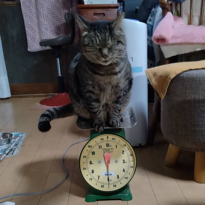 A9e1bbcd 7d24 4ea7 af4f 2a2e3252da55 1671606568710