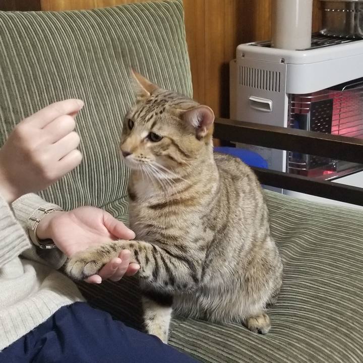 A9e1debb 6cbc 4254 a7c6 e99c35be1792 1577867854284