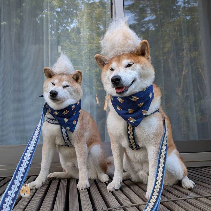 A9e1ff90 6e7e 4f9a 8e4a 2d8ebf3df858 1756451472061