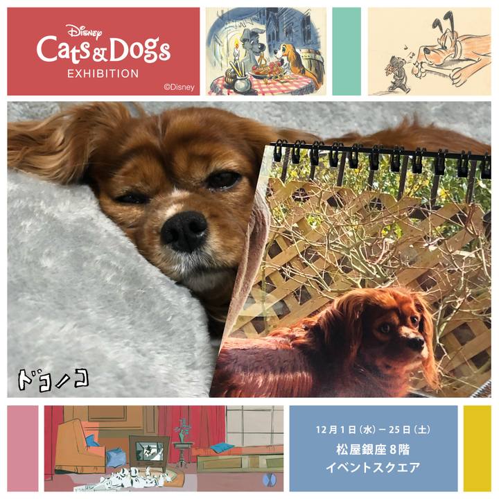 A9e2156d d491 413e a7ca 2ce9923aecce 1638353998670