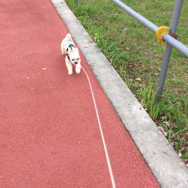 A9e23e2b d952 47fa 8a89 f790beb58006 1542351724656