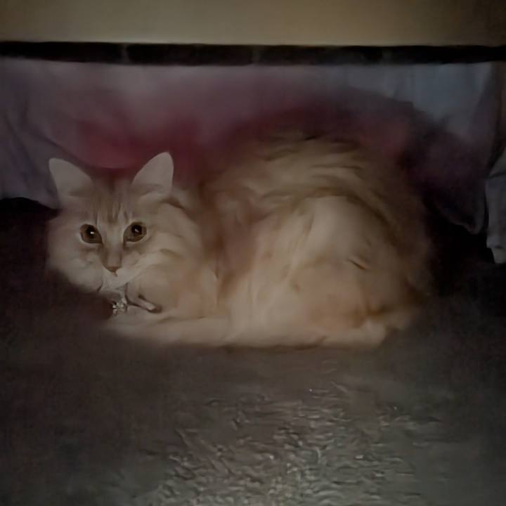 A9e256b6 cdc7 4b65 8c28 729a67bfb9f1 1763869137938