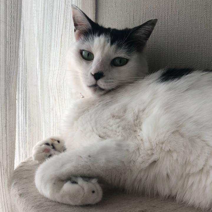 A9e27df7 95f0 4604 bb49 a7973ce0e04b 1539127124038