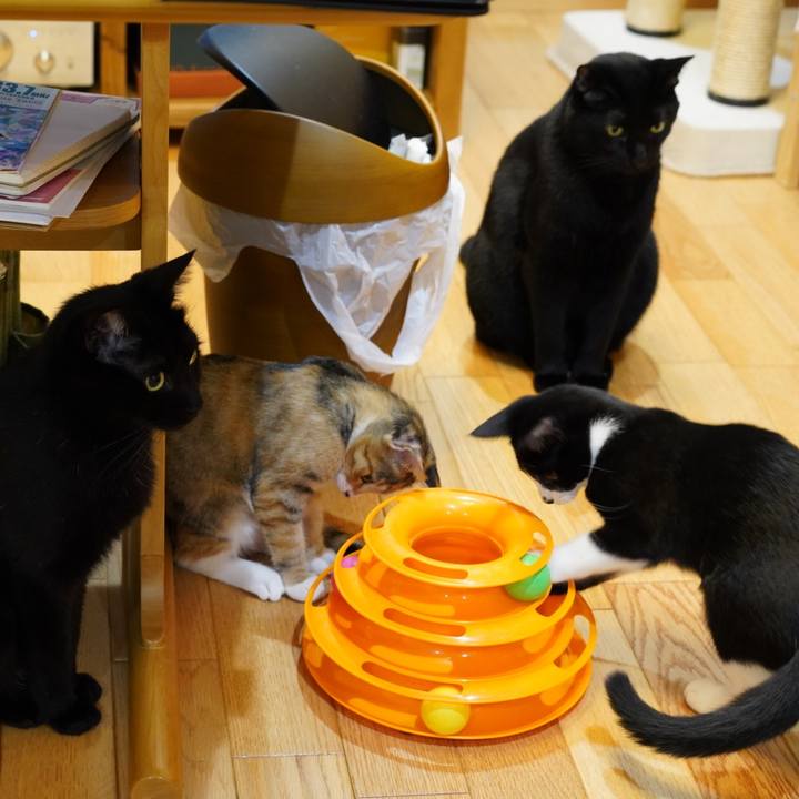 A9e2c564 4b56 4760 88ad 51e1bcd25c9d 1572479077109