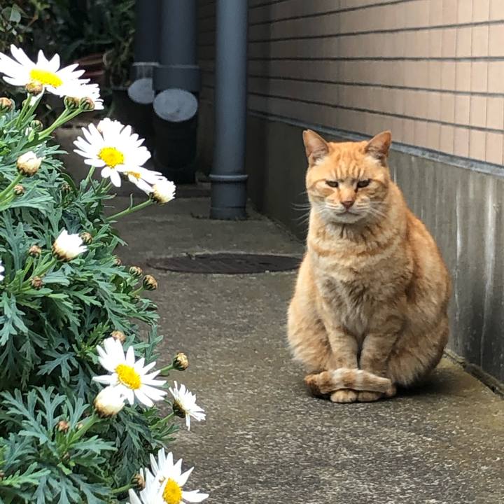 A9e2e195 8141 4167 9e31 cf9957aea9e0 1617093091813