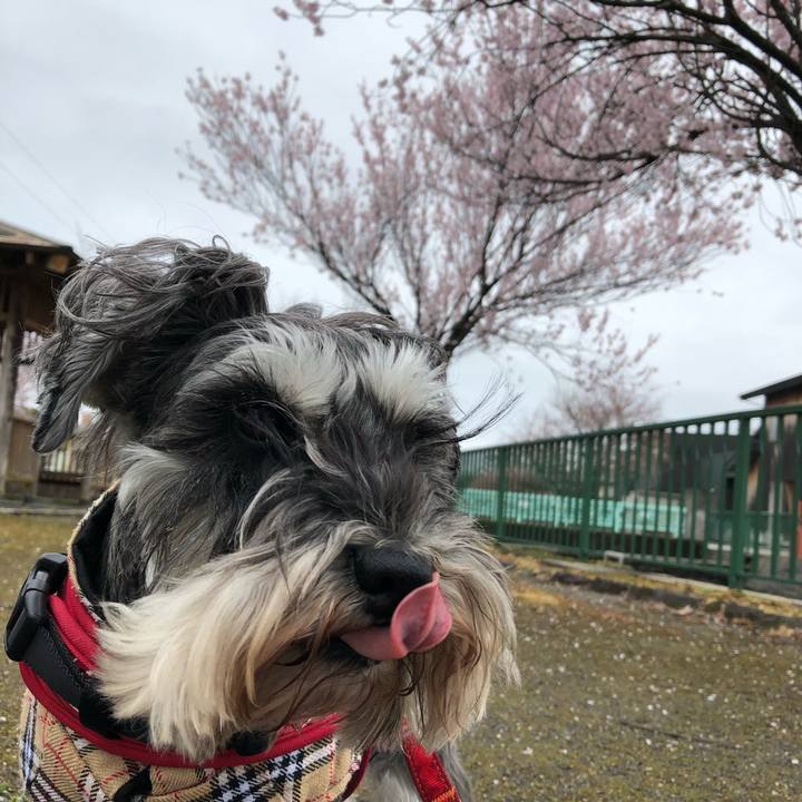 A9e31cfe fc09 4b31 b189 e46446a02ad4 1585377097377