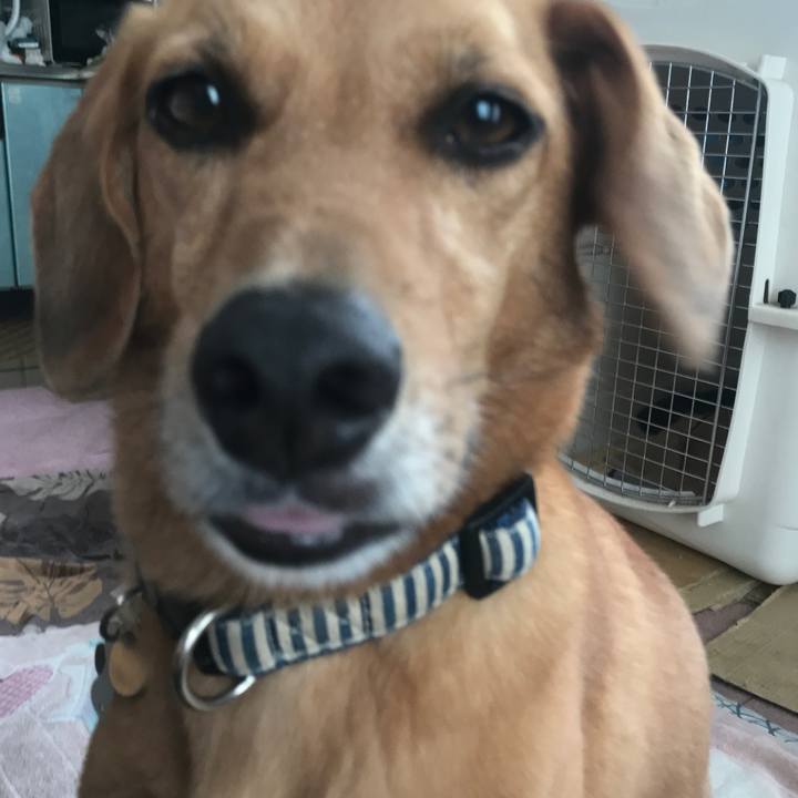 A9e31eee f46f 42f0 9944 2031daa8a9e1 1531358977048