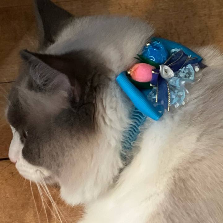 A9e3387b c53e 4d68 bc76 ae1dcbba25d8 1651465477608