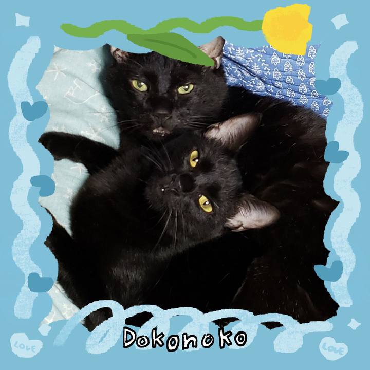 A9e375ea d2fc 43d7 9e5f a2edbc2eb473 1771821977043