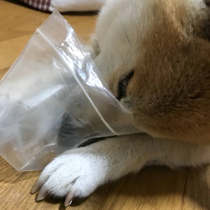 A9e3f02a fe50 40b1 a1c9 0dcf25a8a766 1529645093980