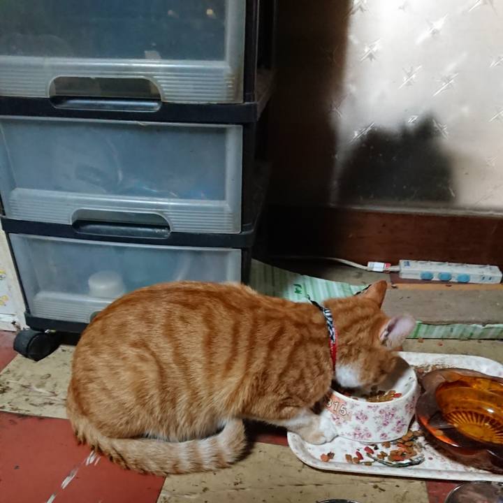 A9e3fe0f 6f2e 46ce b4b9 f65b9f3a5d8b 1570226186490