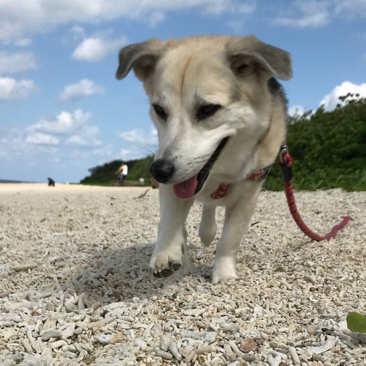 A9e41f75 a046 4076 9bd0 1395f6cecd71 1548992024643