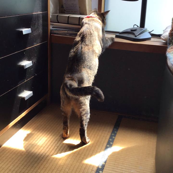 A9e42f72 2a8d 4b05 9819 c379e5483022 1596597781405