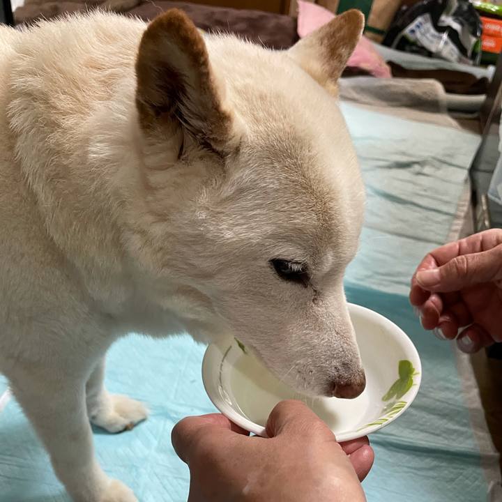 A9e4ae1e 1106 4aa7 8f11 ff3afcf950ec 1636439010060