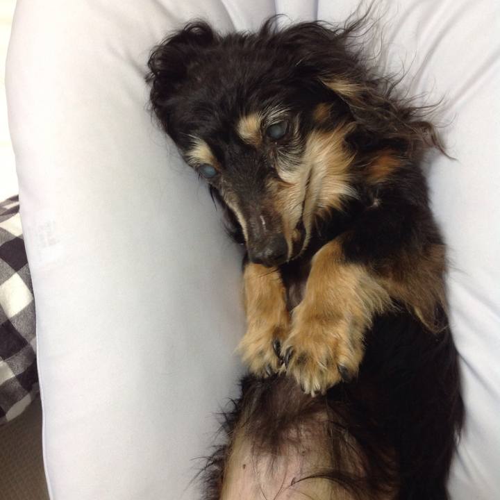 A9e4b268 d3d0 421b b7ab 60ddd487dd36 1633781169955