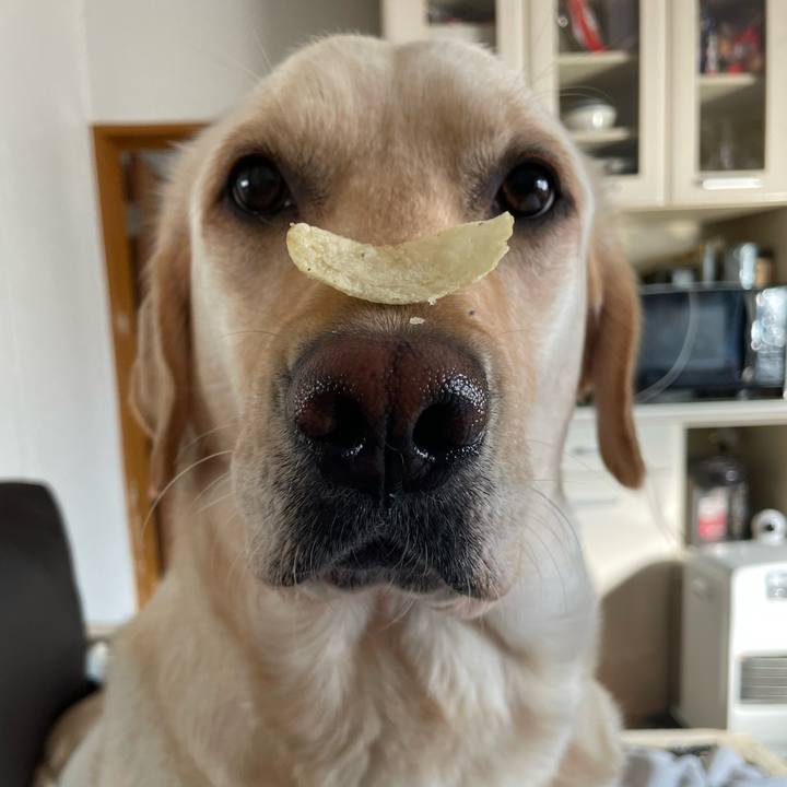 A9e50813 4c6a 4dfd 99c0 3d6bab84b94d 1707719790418