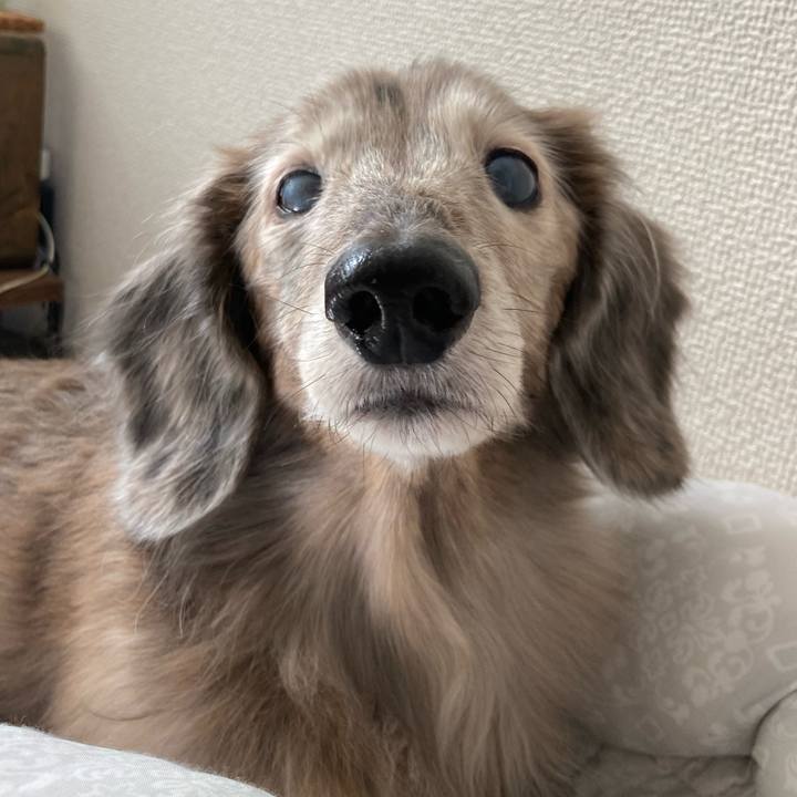 A9e516a1 686d 43d6 bcb4 b3cdbc5f2522 1772839455343