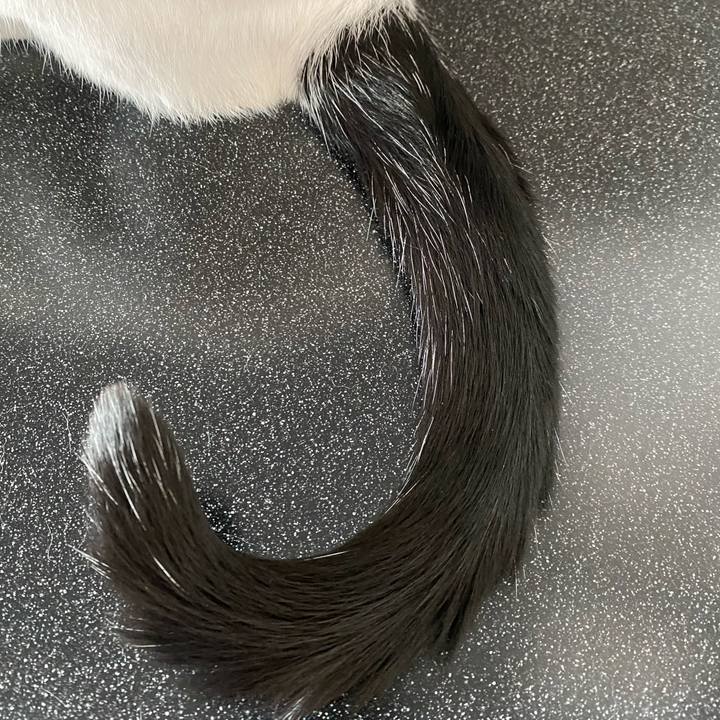 A9e524f2 9dec 44b3 a67c 245fffe46775 1752105908118