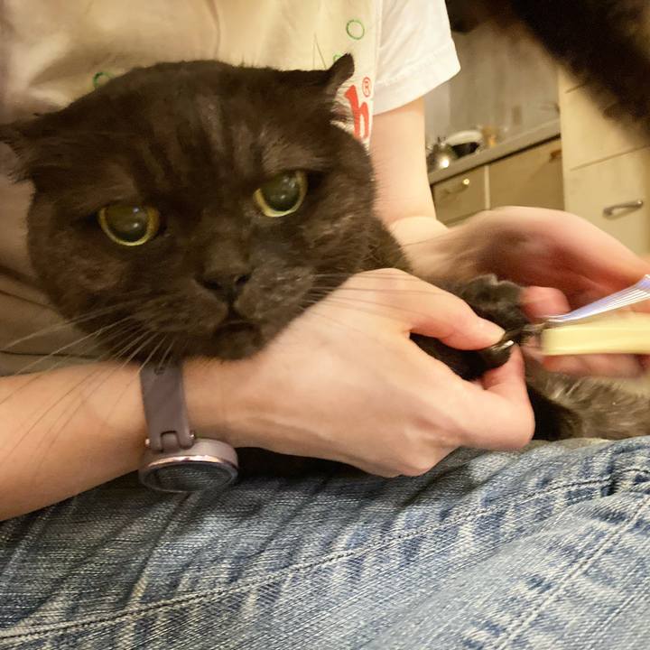 A9e55d99 be8d 4b91 9f0f 629a1f1d2d0e 1632155698170