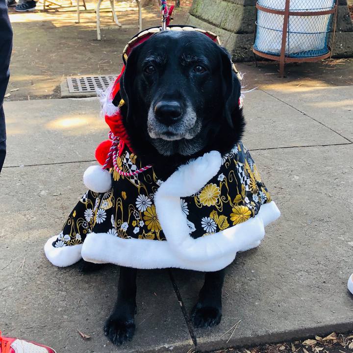 A9e56455 8311 4f91 ac44 84439057951b 1577861182857