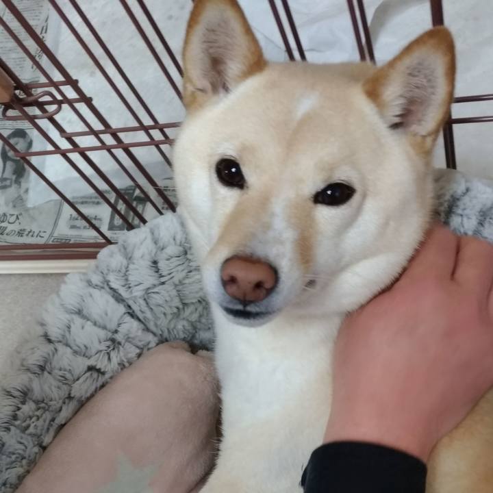 A9e5a7e7 a3e9 48af 862b 67449ca6697a 1585695805221