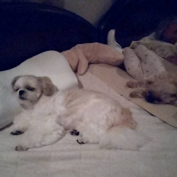 A9e5edc8 15c9 4fd7 9634 fec2b7142d18 1749596580309