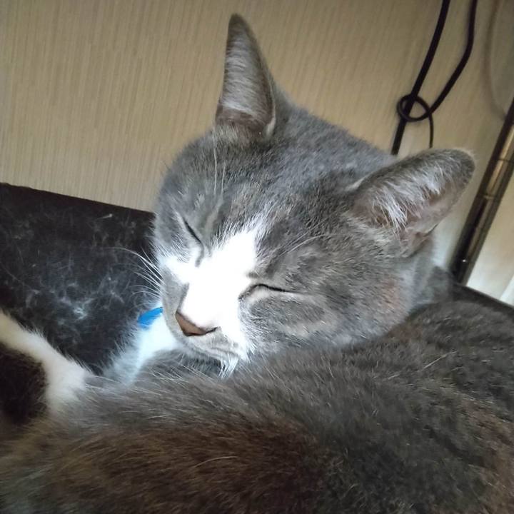 A9e67707 9820 44cb bce1 4b9ff11fee32 1679570321120