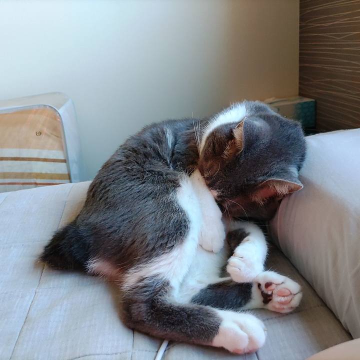 A9e6abc6 eea6 4415 b8e8 1b727e324ea9 1664087767399