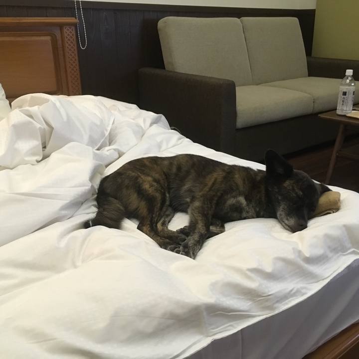 A9e712c6 c160 4d16 83c4 a5e820708bf0 1535453575160