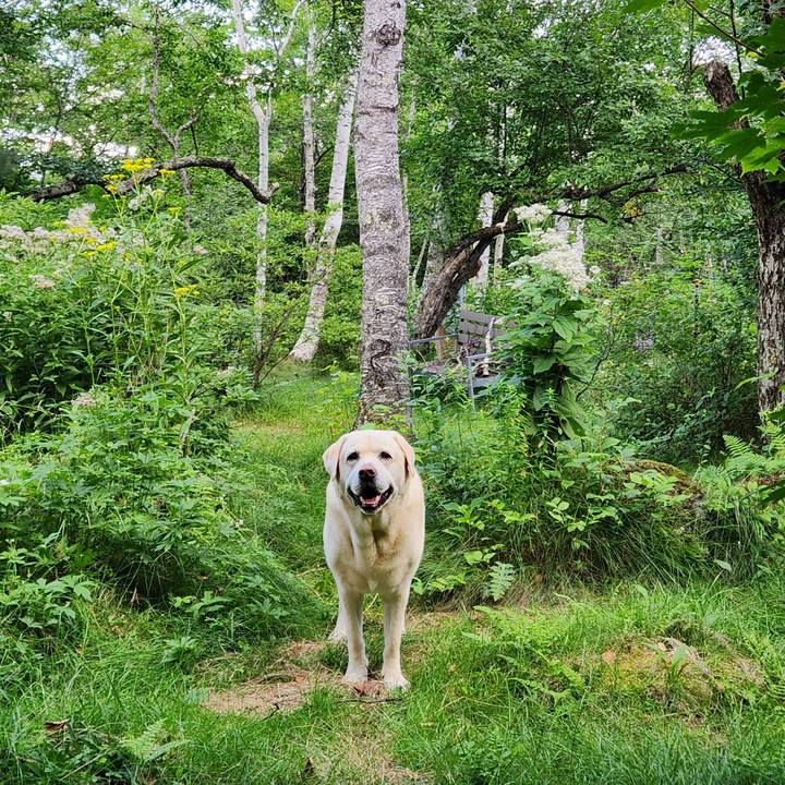 A9e721bd 7f44 4908 98fc 17822a081ddb 1754660589831