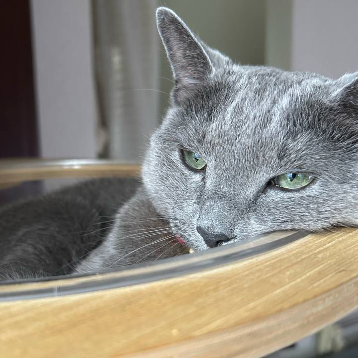 A9e7224f a731 4a07 8b74 6c4e56de5c7c 1750736661132