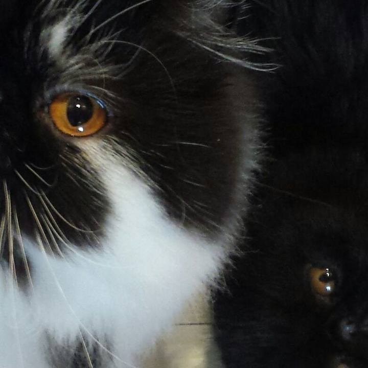 A9e7260f 613f 4b83 8ade e57beda6fdff 1510394176419