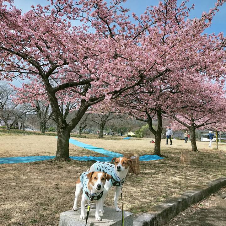 A9e736e2 24d0 4425 8854 dcadc22f7a89 1771923756401