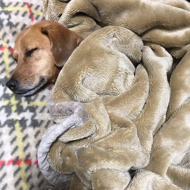 A9e7410d 647d 46db 8d30 6336e0412ac3 1538752003635