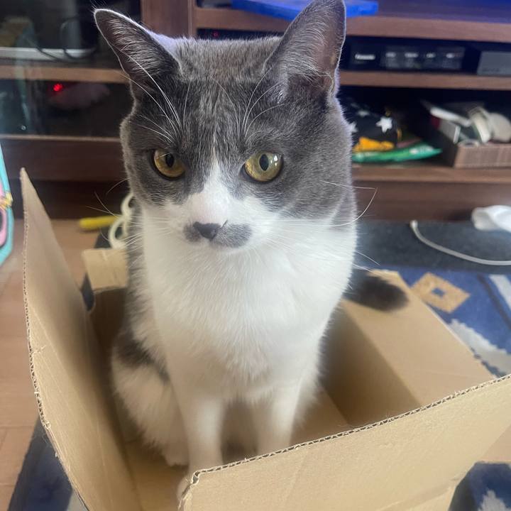 A9e751ce 3c8c 4abf 8916 367392089bd2 1647319075648