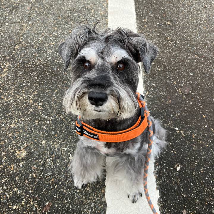 A9e7558b 5584 4743 ac0a 861dd6b93d73 1727041961091