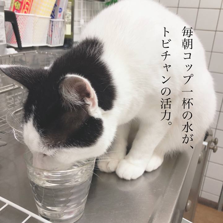 A9e76384 7d74 40b3 b806 7b8ca6197c40 1576488717536