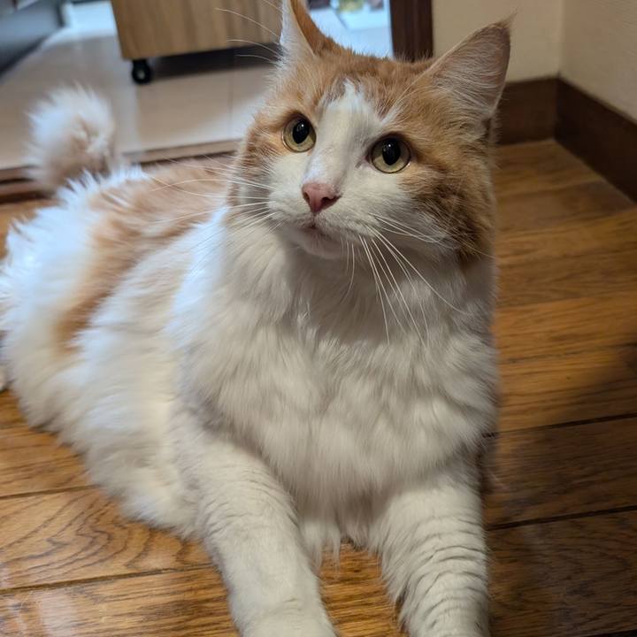 A9e76d30 e501 4b7b 8503 91cd3f882a65 1768314071525