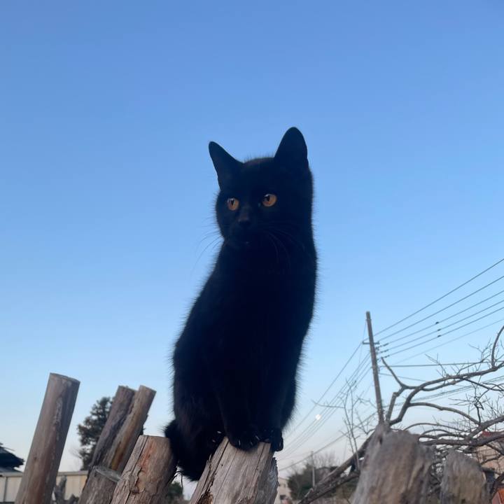 A9e76f25 67aa 425e 85a9 56d656ad8529 1772750497901