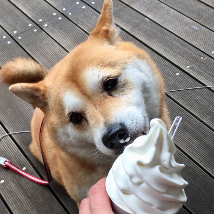 A9e7728e 9f6e 4ac2 b534 22c58db4447a 1529113095985