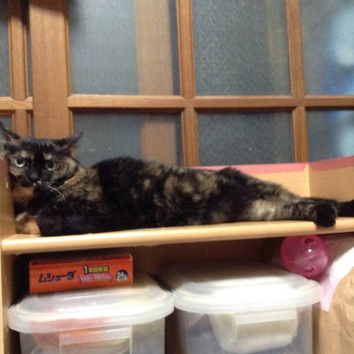 A9e79bd3 a3da 4b3d a484 ba108f764b42 1533300764823