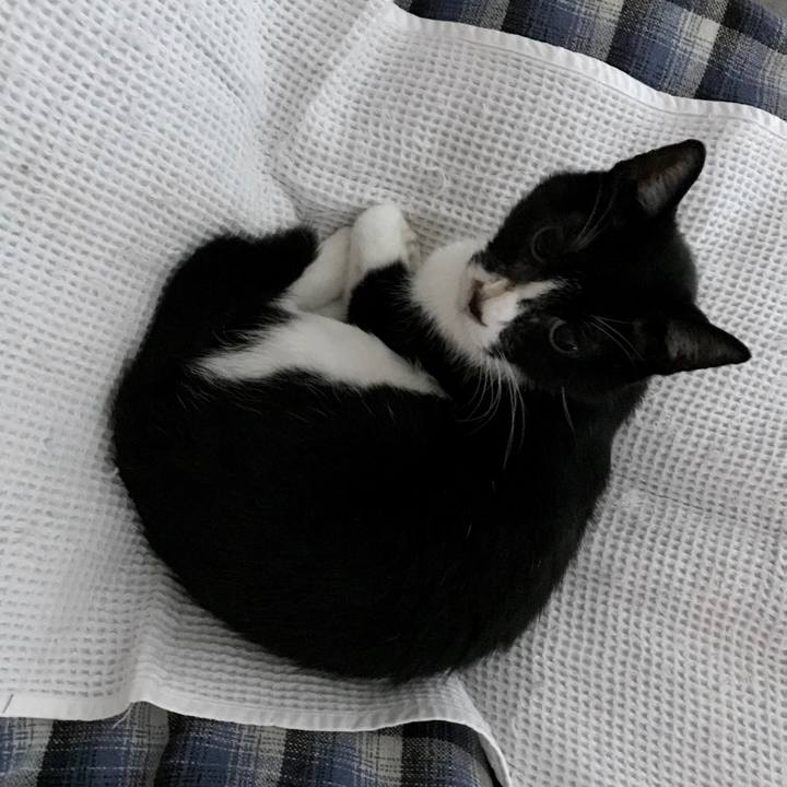 A9e7d1a2 f09b 485e 9b7d 041c4e9f1351 1565412734559