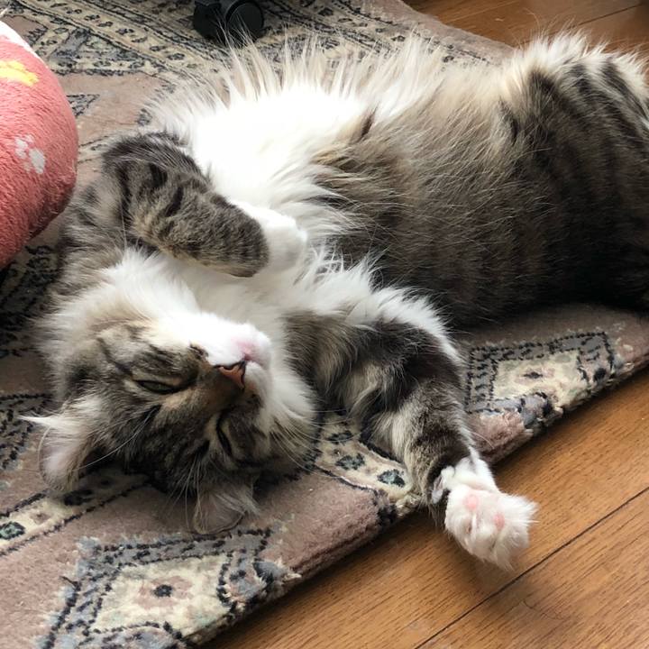 A9e7f7ec 3e8c 4559 84d5 1c7247301e7f 1523855273095