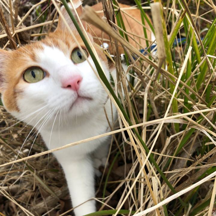 A9e7f811 340b 4d07 8b5a f9d97b5648f6 1553317814317