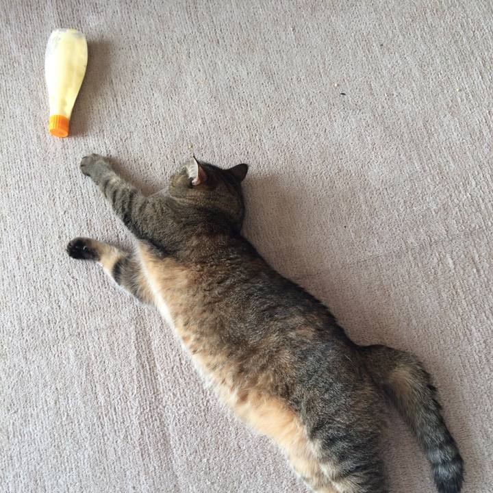 A9e81922 9426 48a7 9092 09f86b377e52 1573596387325