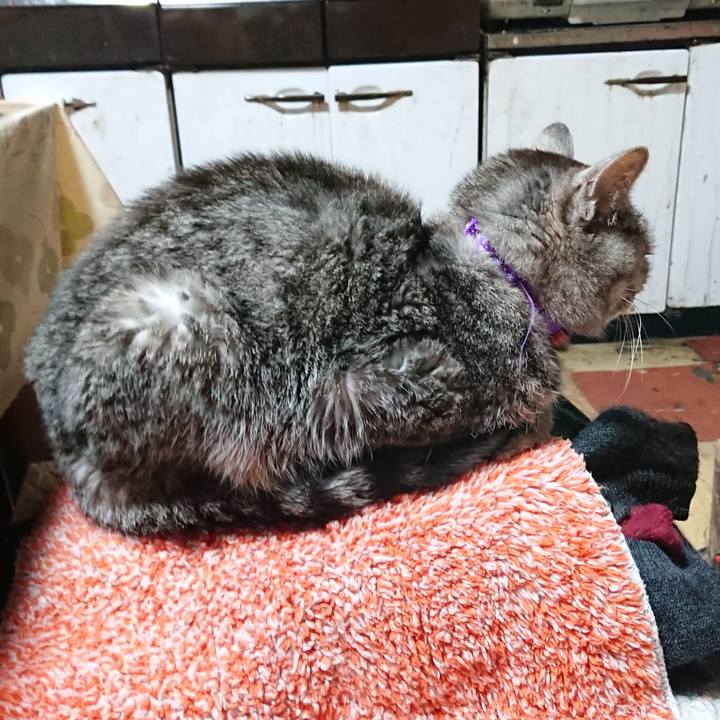 A9e83f79 1668 42e2 b38c 95e5a815d0a2 1582109861043